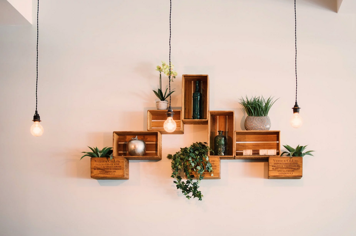 plants wall design