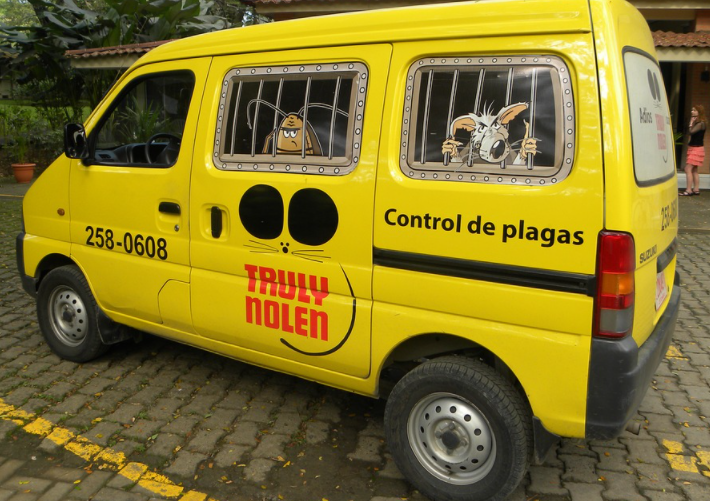 Tips for Choosing the Most Reliable Pest Control Service