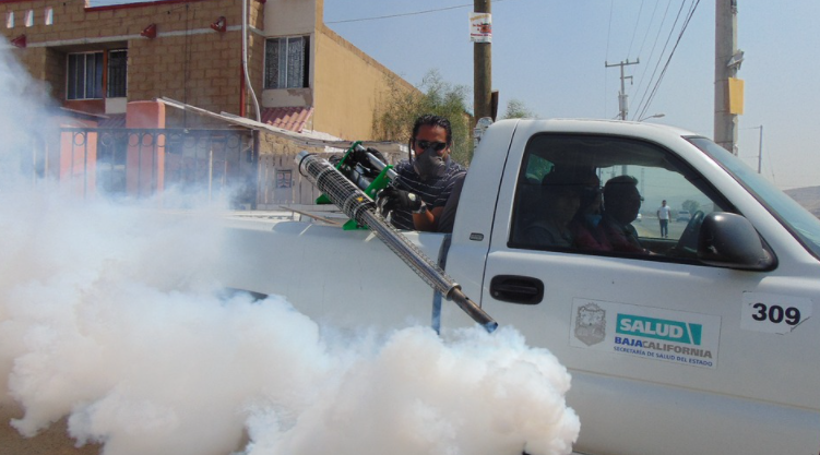 Tips for Choosing the Most Reliable Pest Control Service