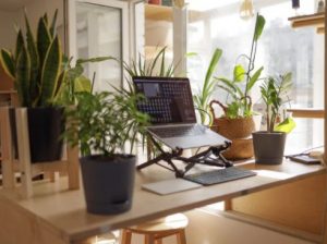 green plants