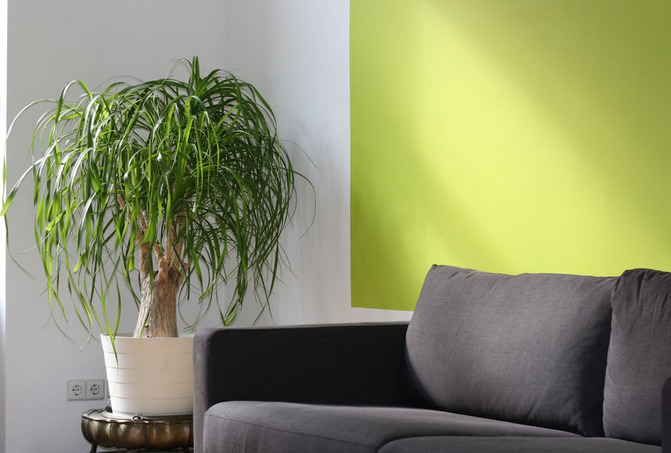 green decor